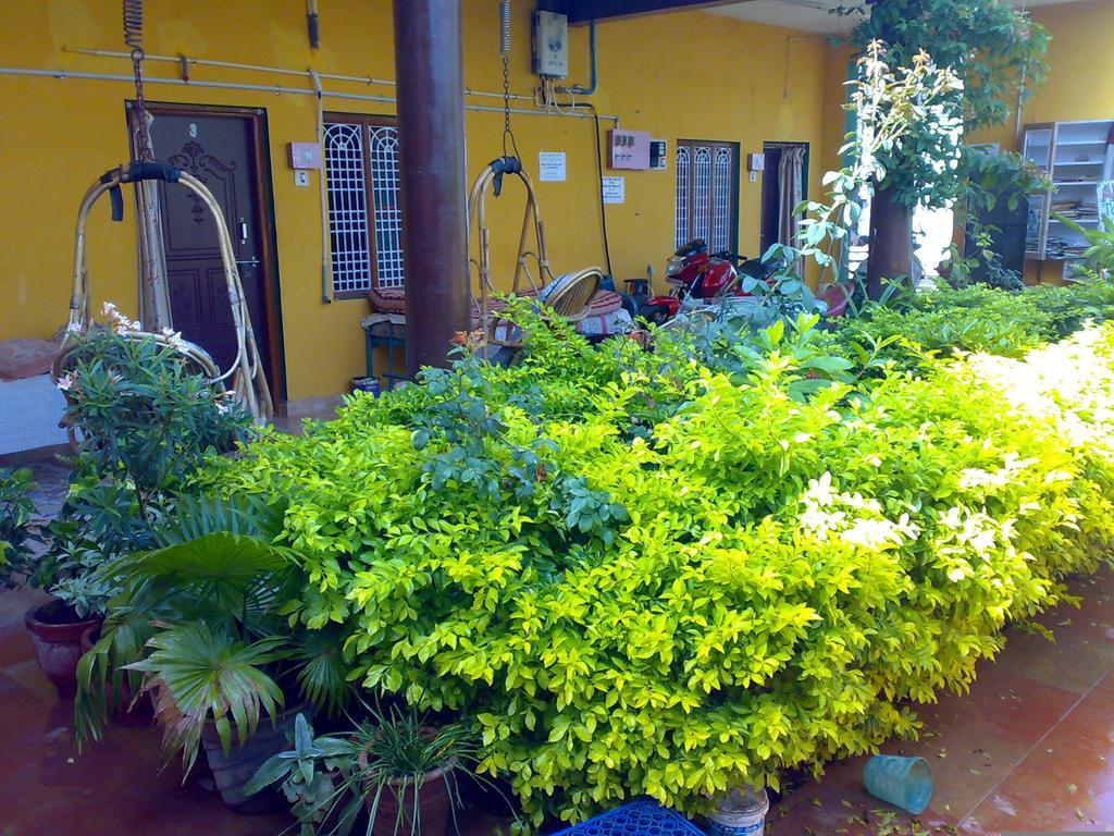 Archana Guest House River View 亨比 外观 照片